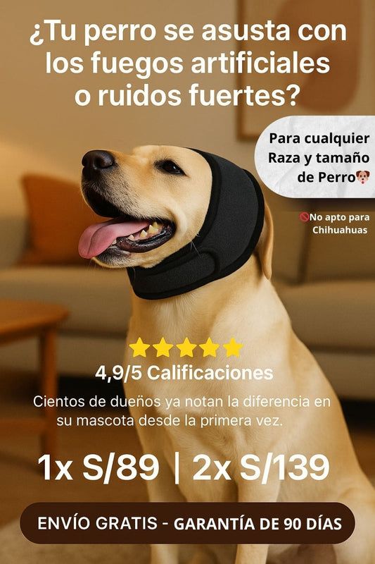 Reductor de ruido para perros 🐶
